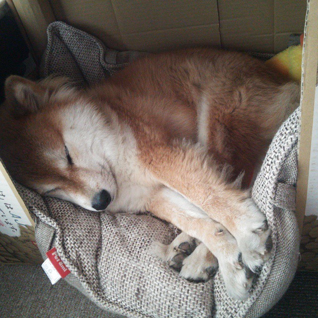 暗夜之光,富安健洋一锤定音,丹麦惊险突围背后的亚洲力量