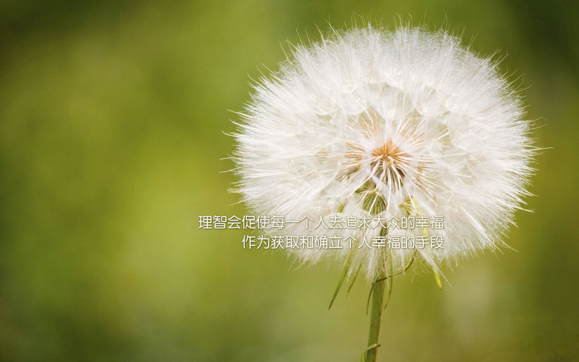 开云APP-雷霆万钧斩巨舰！广东王朝的背影下，新势力正野蛮生长